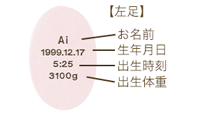 見本