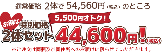 2体セットはお得な特別価格