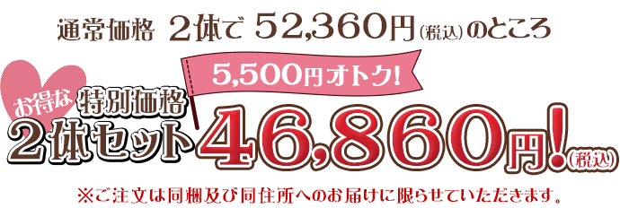 2体セットはお得な特別価格