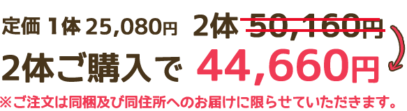 2体セットはお得な特別価格