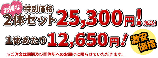 2体セットはお得な特別価格