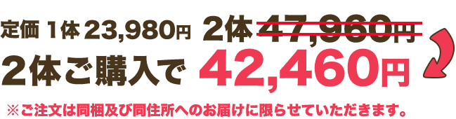 2体セットはお得な特別価格