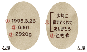 固定文パターン見本