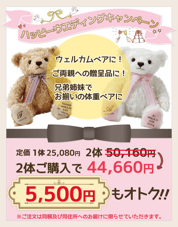 キャンペーン実施中!2体ご購入で5,500円もオトク♪