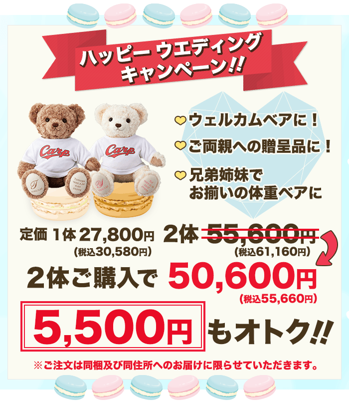 キャンペーン実施中!2体ご購入で5,500円もオトク♪