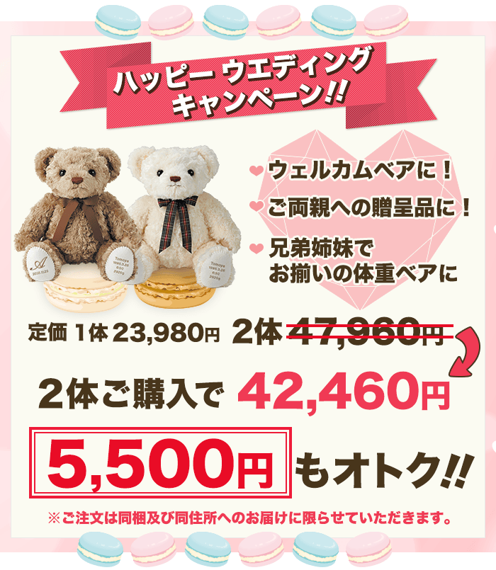 キャンペーン実施中!2体ご購入で5,500円もオトク♪