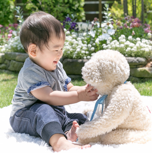 お客様からいただいたお写真