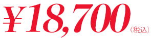 価格18700円(税込)