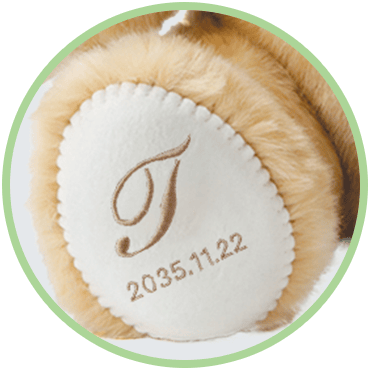 キャメリー リボン