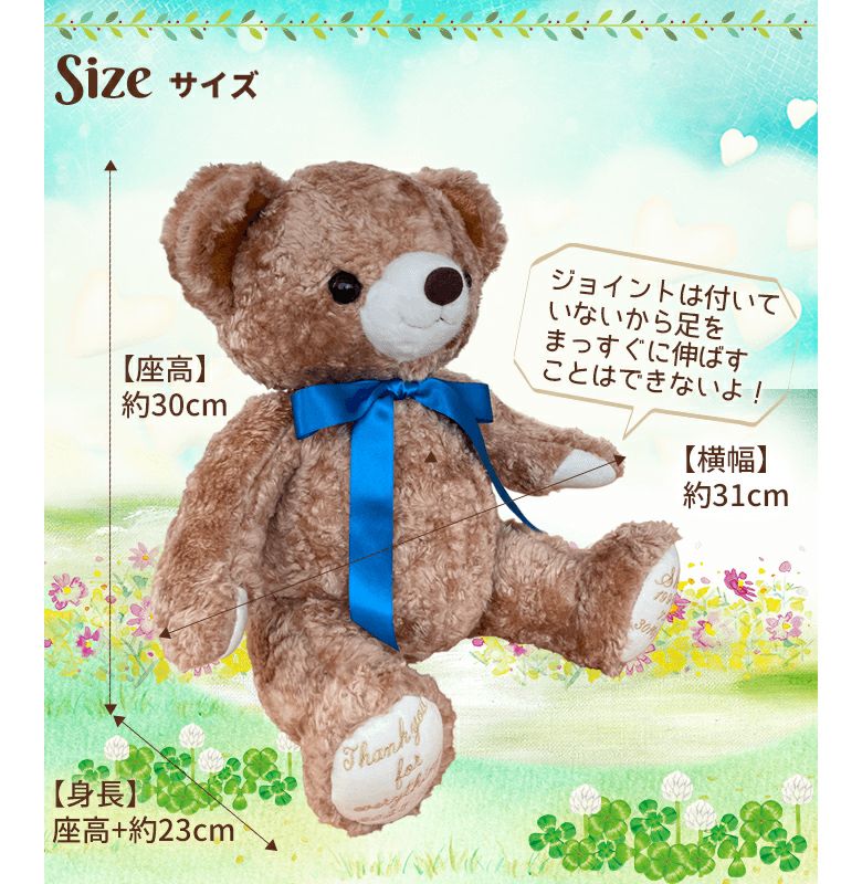 体重ベア「カリーナ」のサイズ