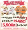 カントリークラシックベア広島カープモデル2体セットのキャンペーン価格