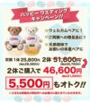 マカロンベア広島カープモデル2体セットのキャンペーン価格
