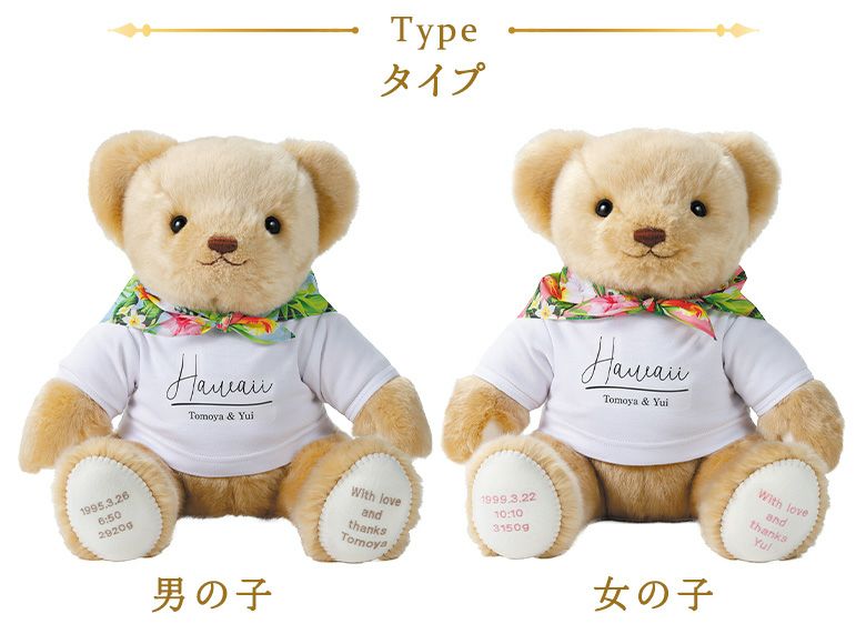 キャメリー ハワイアン：ハワイのTシャツを着たウェイトベア