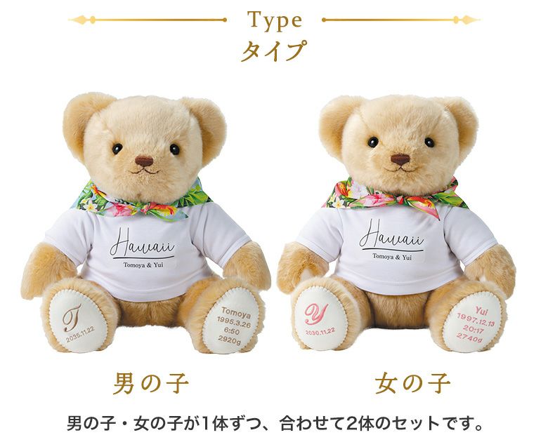 テディベア2体セット 【公式通販】