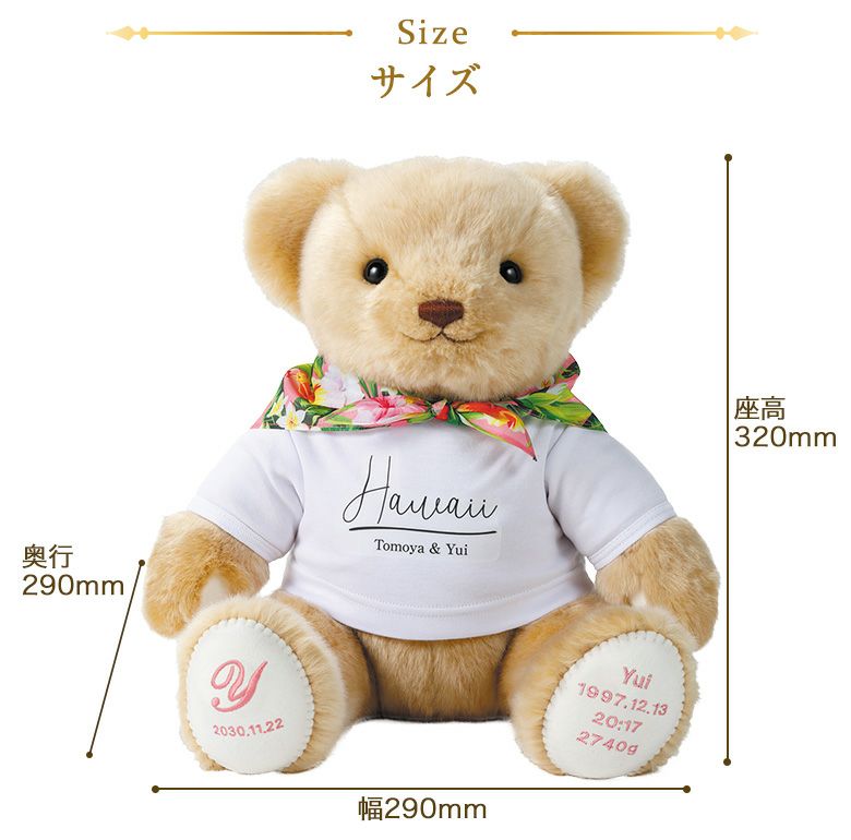 ハワイ限定　テディベア 02c760a5056bf1f86928ddfa9faee8